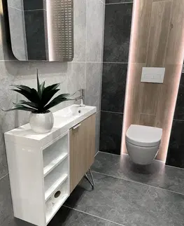 Kúpeľňa SAPHO - LATUS VI Polica 30x50x22 cm, biela LT620-3030