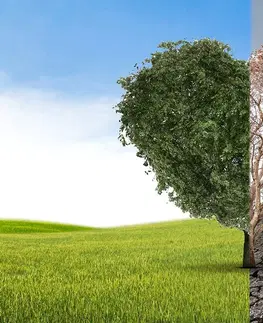 Samolepiace tapety Samolepiaca tapeta strom v dvoch podobách