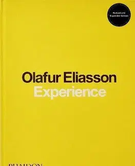 Sochárstvo, plastika Olafur Eliasson, Experience - Olafur Eliasson