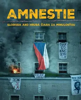 Slovenské a české dejiny Amnestie. Sloboda ako hrubá čiara za minulosťou - Kolektív autorov,Danglár Gertli Jozef