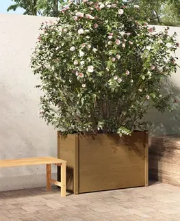 Vyvýšené záhony Záhradný kvetináč borovice Dekorhome Biela