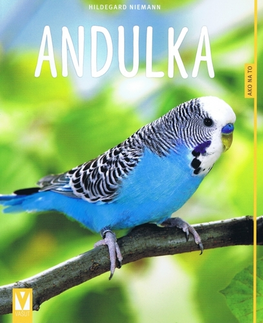 Vtáky, hydina Andulka - Hildegard Niemann