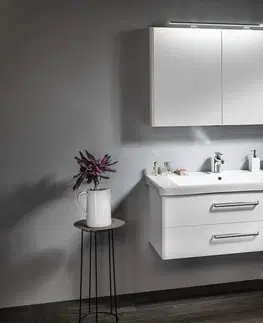 Kúpeľňa SAPHO - THEIA umývadlová skrinka 101,4x43,5x44,2cm, 2xzásuvka, biela TH105-3030