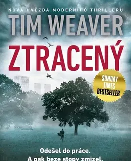 Detektívky, trilery, horory Ztracený - Tim Weaver