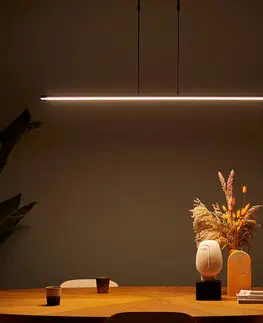 Závesné svietidlá Steinhauer LED závesné svietidlo Zelena čierna