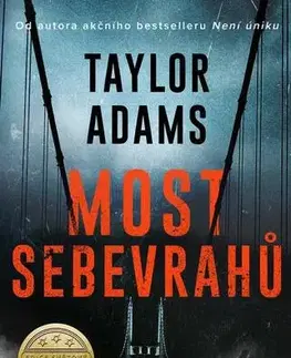 Detektívky, trilery, horory Most sebevrahů - Taylor Adams
