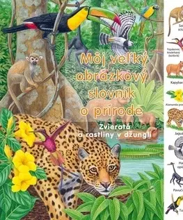 Leporelá, krabičky, puzzle knihy Môj veľký obrázkový slovník o prírode - Zvieratá a rastliny v džungli