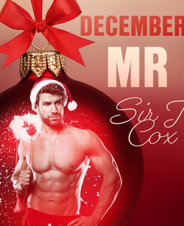 Erotická beletria Saga Egmont December 23: Mr S – An Erotic Christmas Calendar (EN)
