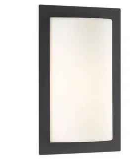 Vonkajšie nástenné svietidlá LCD Grafitové vonkajšie svietidlo Luis LED svetlo