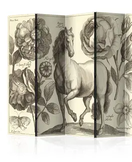 Paravány Paraván Horse Dekorhome 135x172 cm (3-dielny)