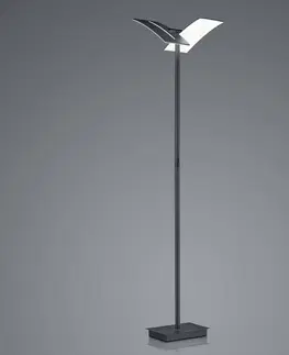 Stojacie lampy HELL Stojaca LED lampa Dual zo železa, čierna 182cm CCT