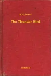 Svetová beletria The Thunder Bird - Bower B. M.