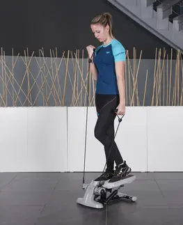 Steppery Stepper inSPORTline Active