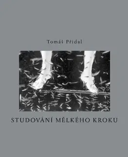 Česká poézia Studování mělkého kroku - Tomáš Přídal