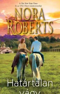 Romantická beletria Határtalan vágy - Nora Roberts