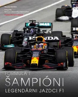 F1, automobilové preteky Formula 1: Šampióni (Legendárni jazdci F1) - Maurice Hamilton,Miloslav Surgoš