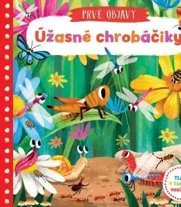 Leporelá, krabičky, puzzle knihy Úžasné chrobáčiky - Prvé objavy - Jenny Wren