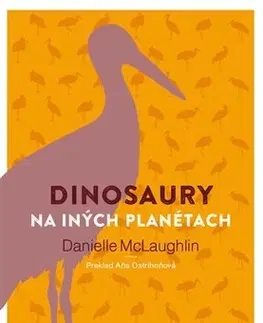 Novely, poviedky, antológie Dinosaury na iných planétach - Danielle McLaughlin