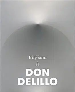 Romantická beletria Bílý šum - Don DeLillo