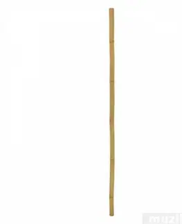 Grilovacie náradie Kinekus Tyč oporná k rastlinám 14-16/180cm bambus