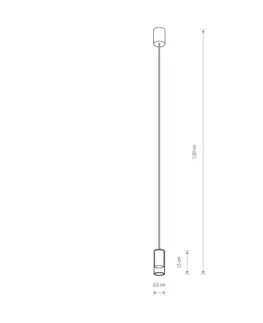 Závesné svietidlá Euluna Závesné svietidlo Cylinder číra/čierna výška 15 cm