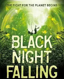 Young adults Black Night Falling - Teri Terry