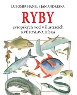Biológia, fauna a flóra Ryby evropských vod v ilustracích Květoslava Híska, 2. vydání - Jan Andreska,Lubomír Hanel