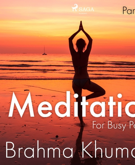 Duchovný rozvoj Saga Egmont Meditation For Busy People – Part Three (EN)