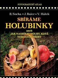 Hubárstvo Sbíráme holubinky - Jiří Baier,Václav Hálek,Radomír Socha