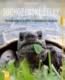 Terárium Suchozemské želvy - Wilke Hartmut