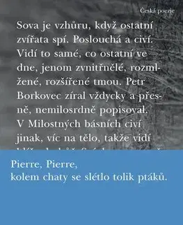 Poézia Milostné básně - Petr Borkovec