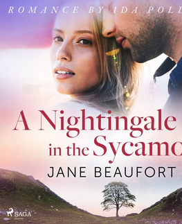 Romantická beletria Saga Egmont A Nightingale in the Sycamore (EN)