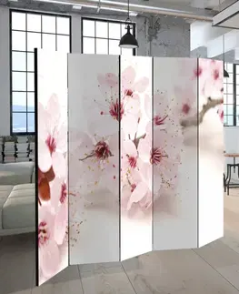 Paravány Paraván Cherry Blossom Dekorhome 225x172 cm (5-dielny)