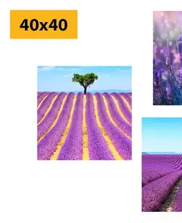 Zostavy obrazov Set obrazov levanduľové pole