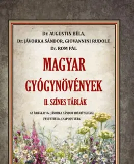 Prírodná lekáreň, bylinky Magyar gyógynövények II. - Színes táblák - Kolektív autorov