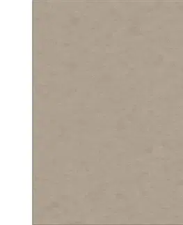 Koberce a koberčeky KONDELA Kalambel koberec 67x105 cm cappuccino