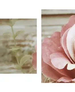 Vintage  a retro obrazy 5-dielny obraz elegantná vintage ruža