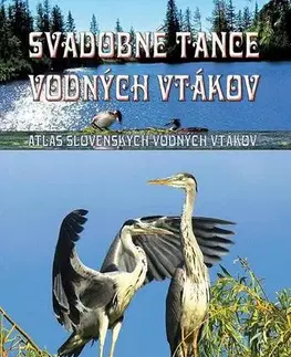 Príroda Svadobné tance vodných vtákov - Ivan Kňaze