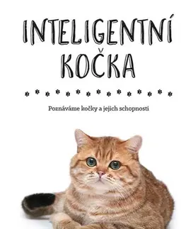 Mačky Inteligentní kočka - Sally Morganová