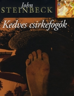 Beletria - ostatné Kedves csirkefogók - John Steinbeck