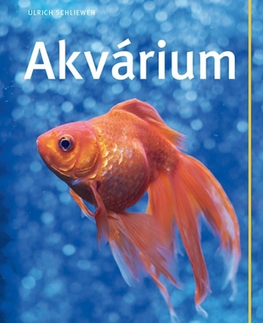 Akvárium Akvárium - Ulrich Schliewen