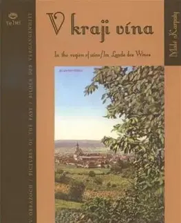 Víno V kraji vína / In the region of wine / Im Lande des Wines - Branislav Chovan