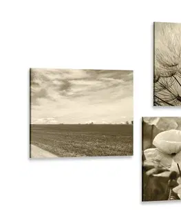 Zostavy obrazov Set obrazov sépiová krajina s kvetmi