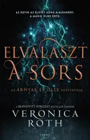 Sci-fi a fantasy Elválaszt a sors - Veronica Roth