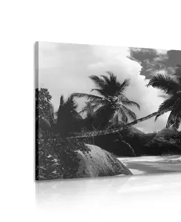 Čiernobiele obrazy Obraz nádherná pláž na ostrove Seychely v čiernobielom prevedení