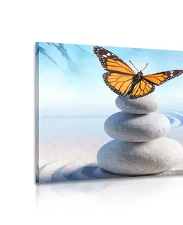 Obrazy Feng Shui Obraz rovnováha kameňov a motýľ
