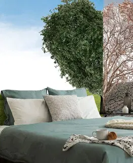 Samolepiace tapety Samolepiaca tapeta strom v dvoch podobách