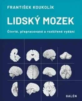Anatómia Lidský mozek - František Koukolík