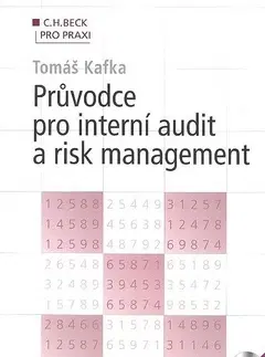 Manažment Průvodce pro interní audit a risk management - Tomáš Kafka
