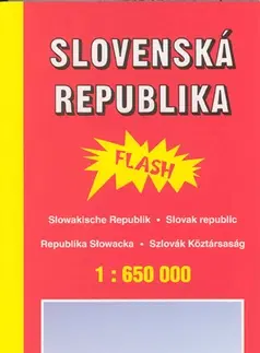 Do auta Automapa Slovensko 1:650 000 - flash - Kolektív autorov